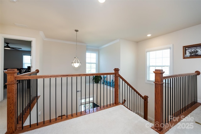 11610 Westbranch Pkwy, Davidson, NC 28036 - photo 28