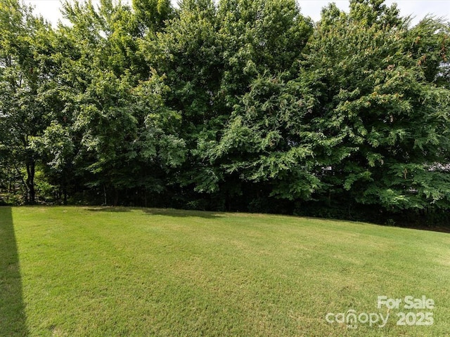 9224 Elrose Pl, Charlotte, NC 28277 - photo 23