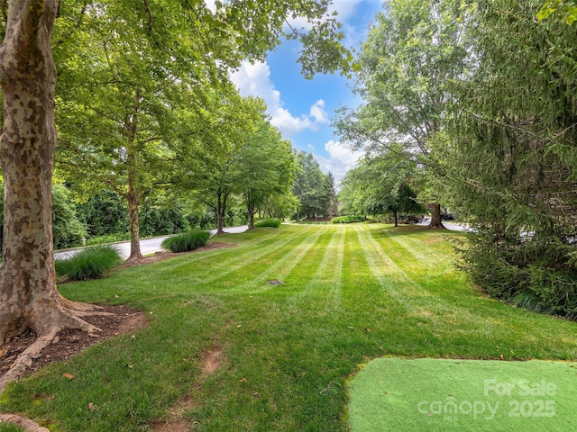 1906 Deermouse Way, Hendersonville, NC 28792 - photo 17