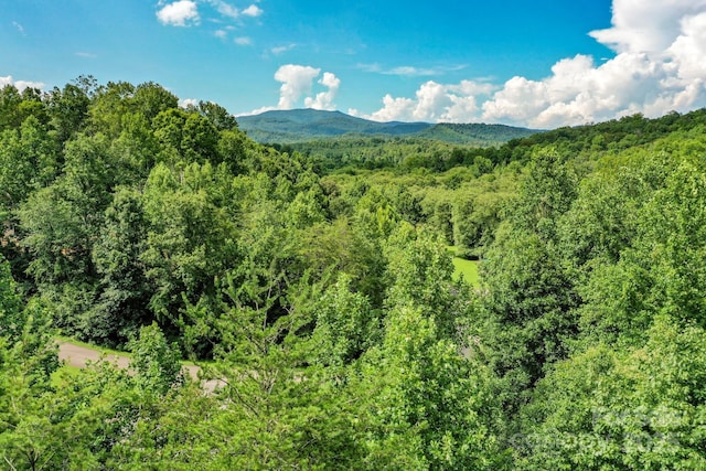 402 Sweetbriar Rd N, Lake Lure, NC 28746 - photo 27