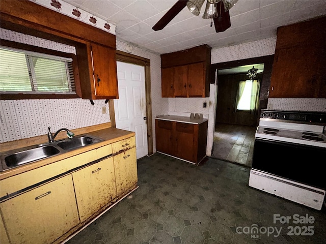 564 Upper Thomas Branch Rd, Marshall, NC 28753 - photo 6