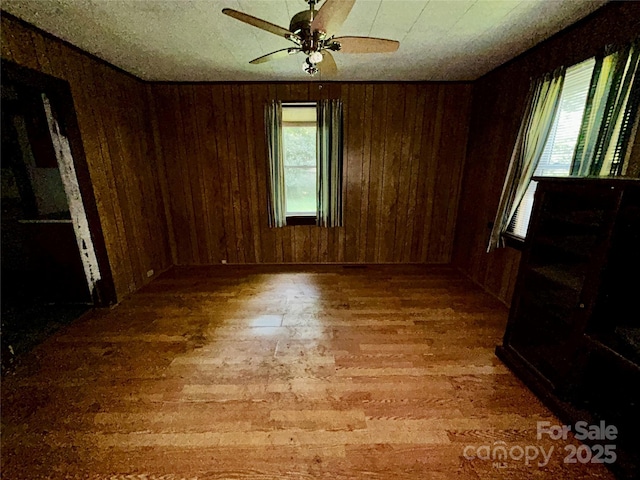 564 Upper Thomas Branch Rd, Marshall, NC 28753 - photo 11