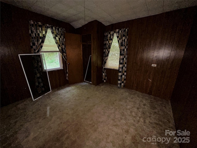 564 Upper Thomas Branch Rd, Marshall, NC 28753 - photo 14
