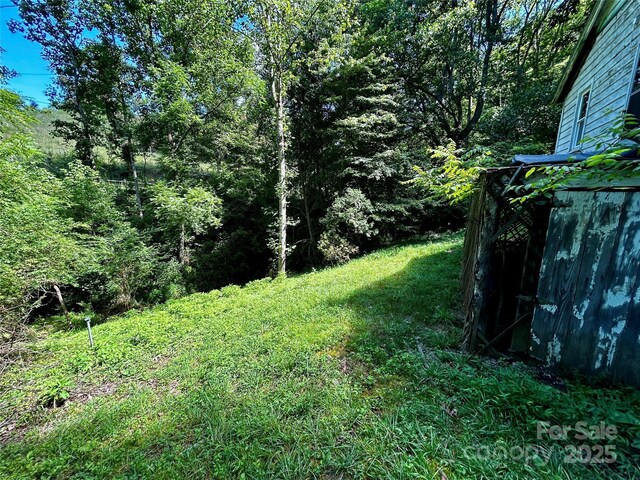 564 Upper Thomas Branch Rd, Marshall, NC 28753 - photo 16