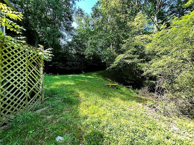 564 Upper Thomas Branch Rd, Marshall, NC 28753 - photo 17