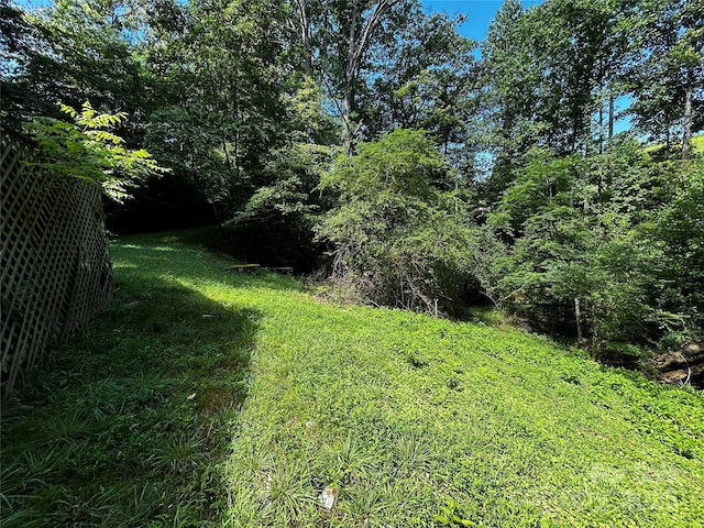 564 Upper Thomas Branch Rd, Marshall, NC 28753 - photo 19