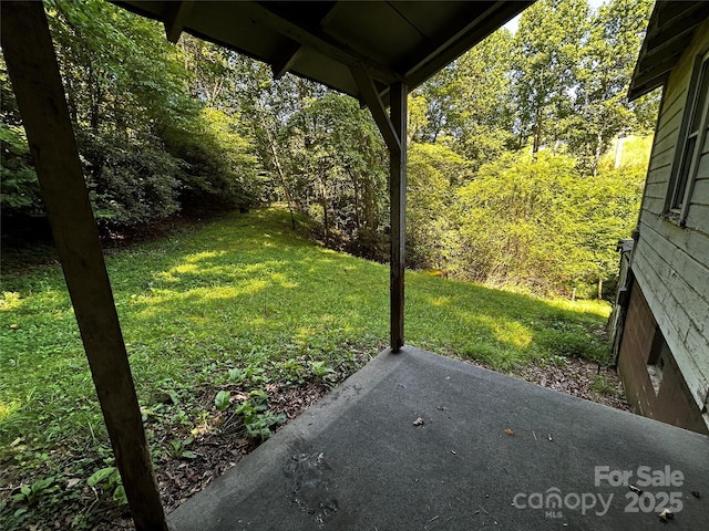 564 Upper Thomas Branch Rd, Marshall, NC 28753 - photo 23