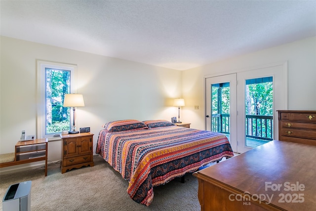 263 Ugedaliyvi Ct, Brevard, NC 28712 - photo 12