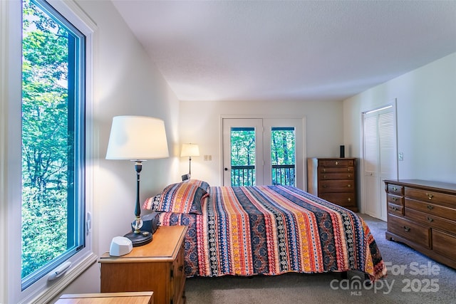 263 Ugedaliyvi Ct, Brevard, NC 28712 - photo 14