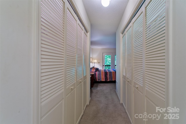 263 Ugedaliyvi Ct, Brevard, NC 28712 - photo 16