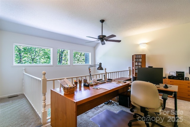 263 Ugedaliyvi Ct, Brevard, NC 28712 - photo 21