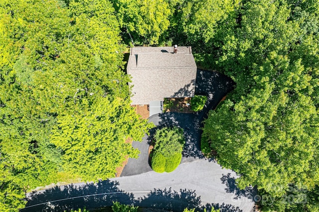 263 Ugedaliyvi Ct, Brevard, NC 28712 - photo 38