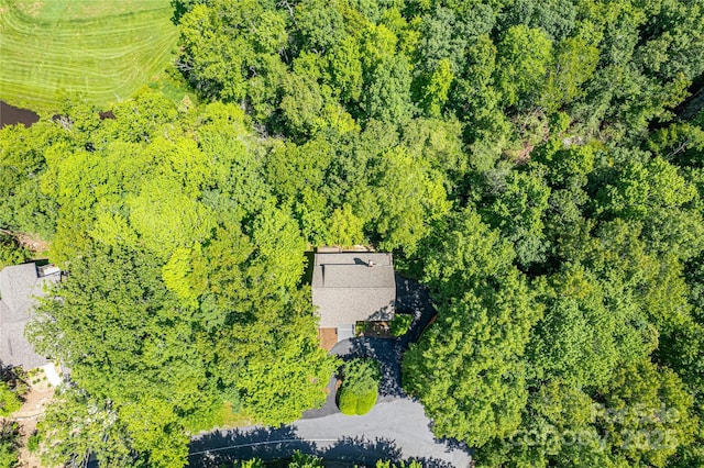 263 Ugedaliyvi Ct, Brevard, NC 28712 - photo 40