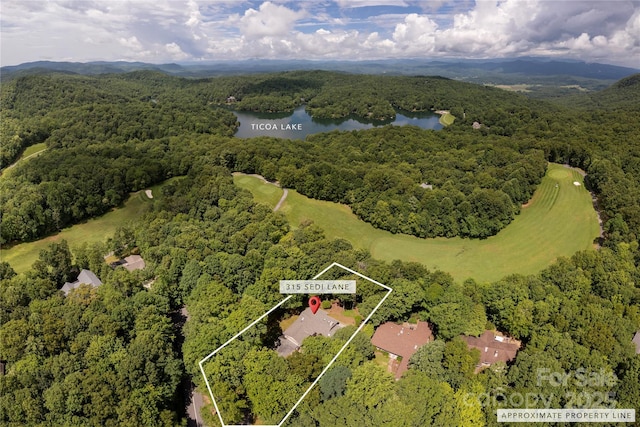 315 Sedi Ln, Brevard, NC 28712 - photo 29