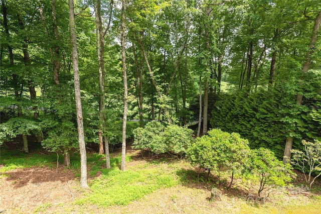 315 Sedi Ln, Brevard, NC 28712 - photo 30