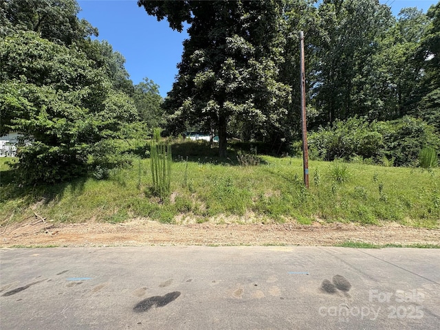 11720 Riverhaven Dr, Charlotte, NC 28214 - photo 2