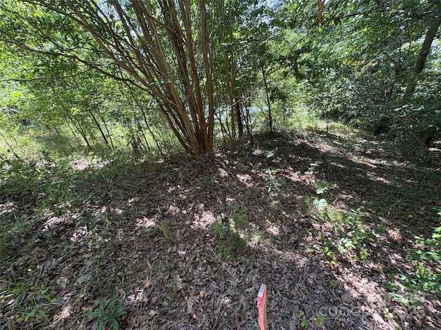 11720 Riverhaven Dr, Charlotte, NC 28214 - photo 21