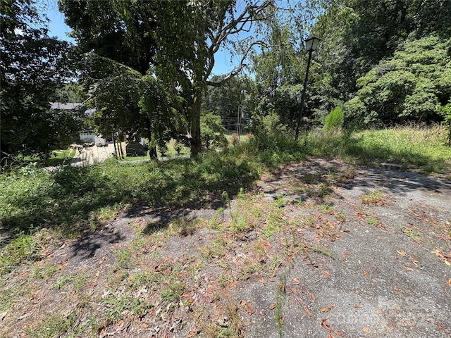 11720 Riverhaven Dr, Charlotte, NC 28214 - photo 26