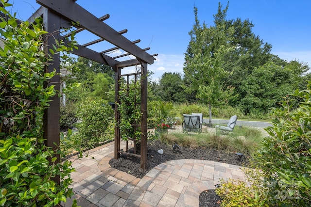 13241 Caite Ridge Rd, Davidson, NC 28036 - photo 40