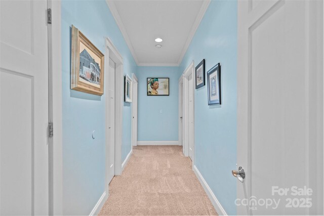 411 Scalybark Trl, Concord, NC 28027 - photo 21