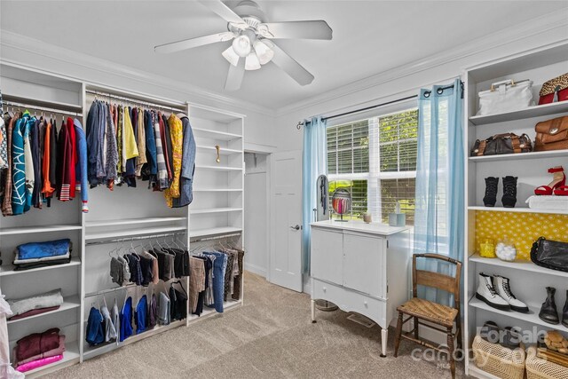 411 Scalybark Trl, Concord, NC 28027 - photo 26