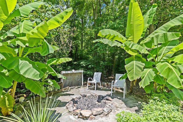 411 Scalybark Trl, Concord, NC 28027 - photo 43