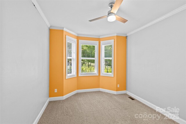 411 Scalybark Trl, Concord, NC 28027 - photo 30