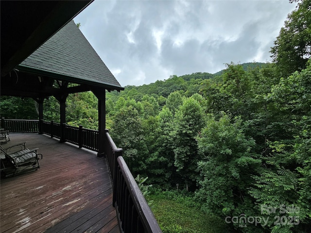 168 Atlantic Falls Trl, Black Mountain, NC 28711 - photo 28