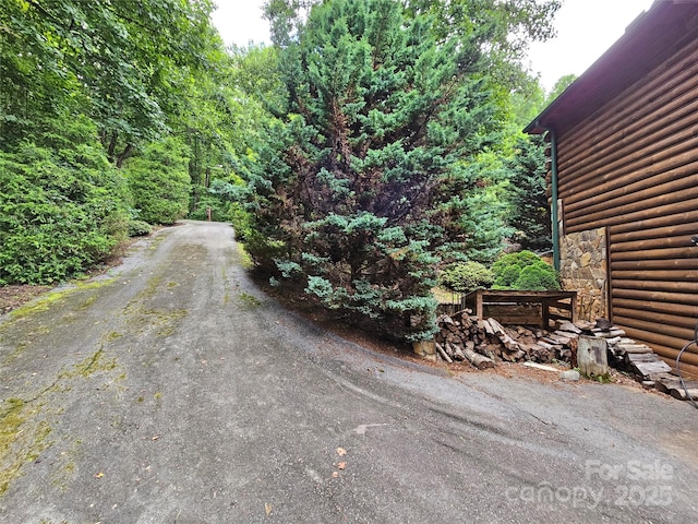 168 Atlantic Falls Trl, Black Mountain, NC 28711 - photo 39