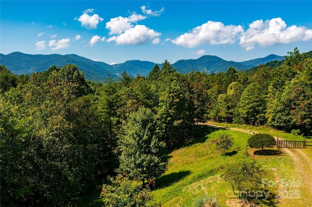 81 Garnet Dr, Leicester, NC 28748 - photo 5