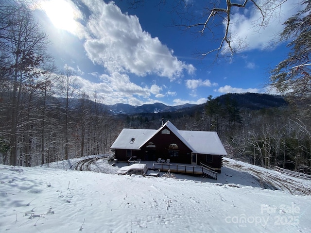 81 Garnet Dr, Leicester, NC 28748 - photo 35