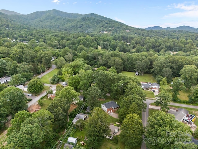117 Beechtree Dr, Black Mountain, NC 28711 - photo 43