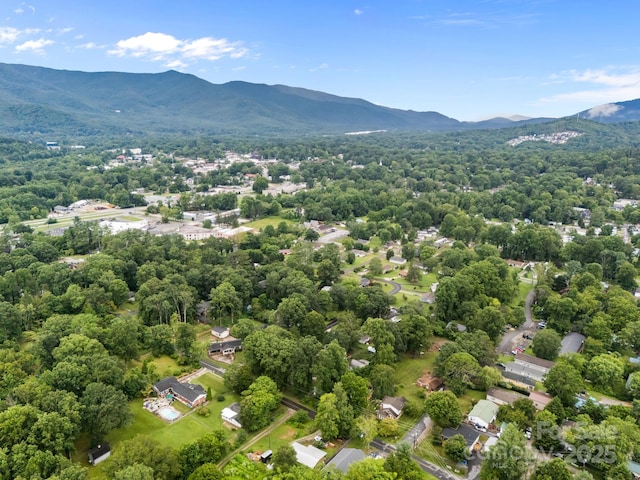 117 Beechtree Dr, Black Mountain, NC 28711 - photo 44
