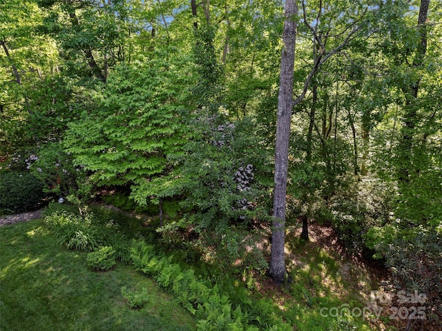 71 Dallas Dr, Hendersonville, NC 28739 - photo 43