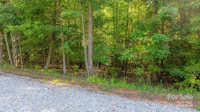 TBD Dirksen Ave Unit 62, Nebo, NC 28761