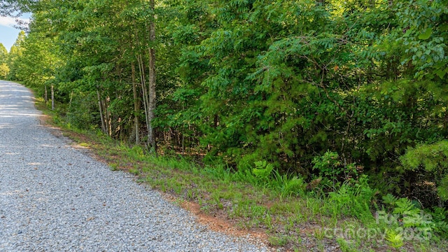TBD Dirksen Ave Unit 62, Nebo, NC 28761