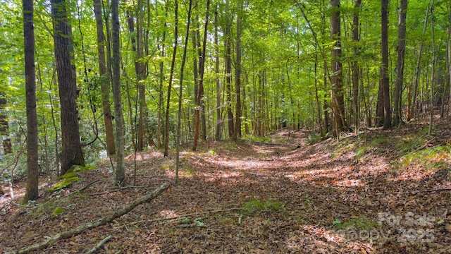 TBD Dirksen Ave Unit 62, Nebo, NC 28761