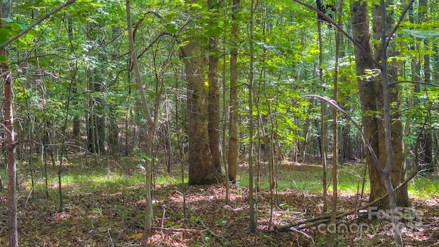 TBD Dirksen Ave Unit 62, Nebo, NC 28761