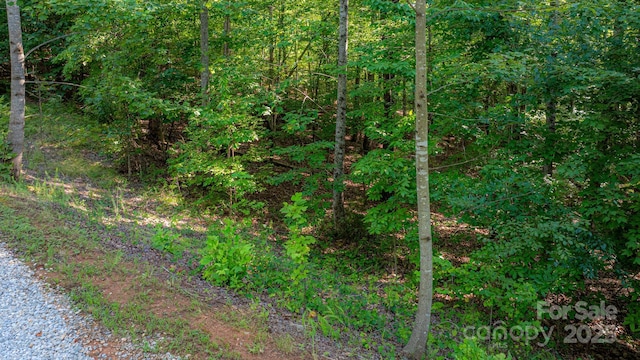 TBD Dirksen Ave Unit 62, Nebo, NC 28761