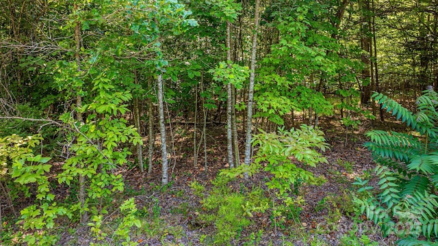 TBD Dirksen Ave Unit 62, Nebo, NC 28761