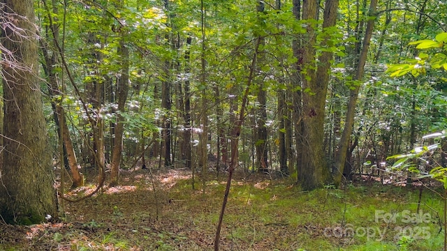 TBD Dirksen Ave Unit 62, Nebo, NC 28761