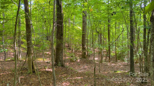 TBD Dirksen Ave Unit 62, Nebo, NC 28761