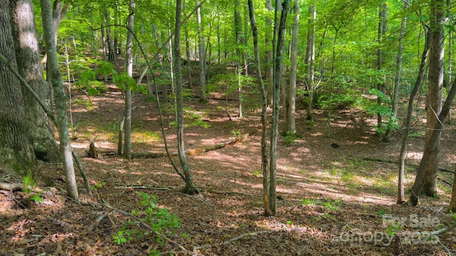 TBD Dirksen Ave Unit 62, Nebo, NC 28761