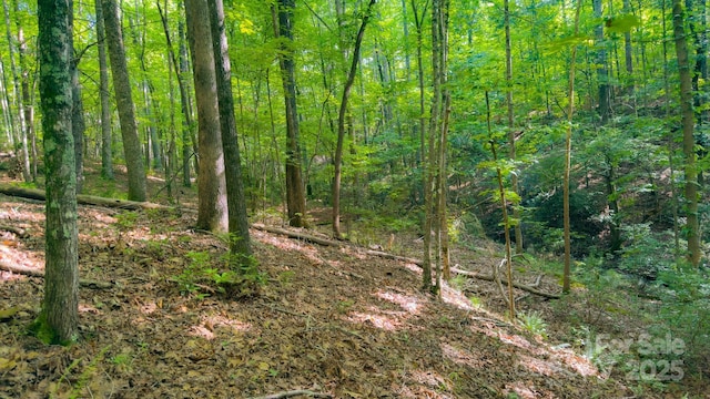 TBD Dirksen Ave Unit 62, Nebo, NC 28761