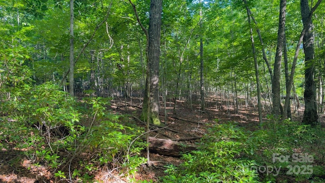 TBD Dirksen Ave Unit 62, Nebo, NC 28761