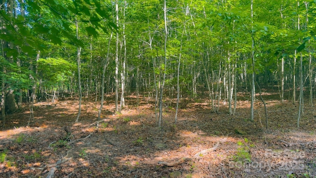 TBD Dirksen Ave Unit 62, Nebo, NC 28761