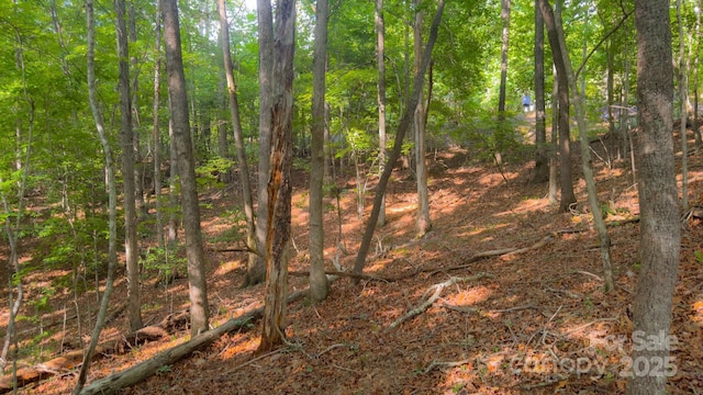 TBD Dirksen Ave Unit 62, Nebo, NC 28761