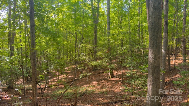 TBD Dirksen Ave Unit 62, Nebo, NC 28761