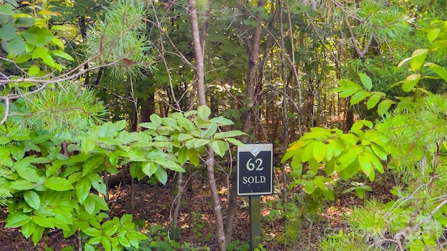 TBD Dirksen Ave Unit 62, Nebo, NC 28761