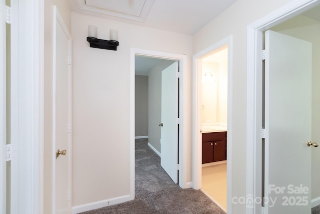 1533 Bonnie Ln, Charlotte, NC 28213 - photo 17